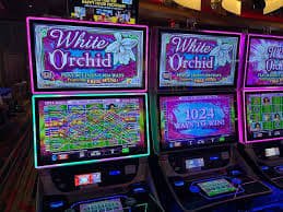 Slot CQ9 dengan grafis modern dan fitur bonus menarik Permainan slot CQ9 dengan tema Fortune Tiger dan fitur bonus